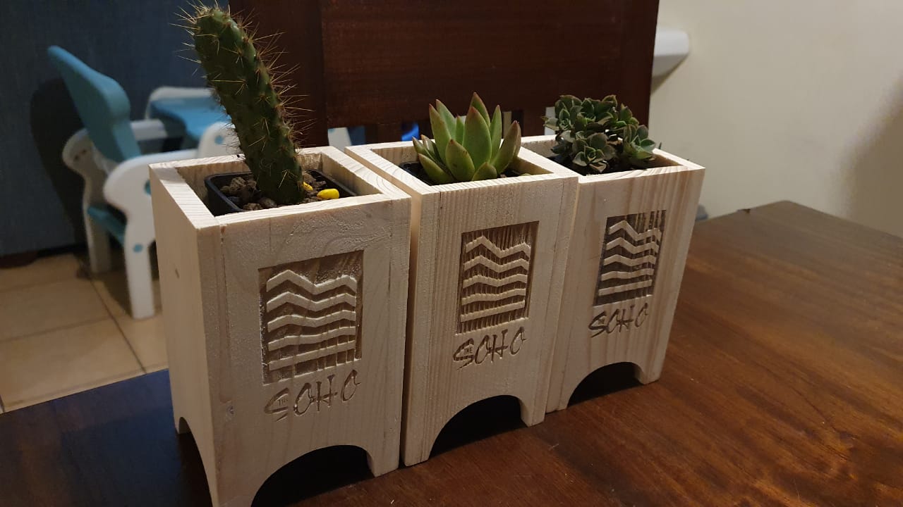 Branded Wooden Planter with Succulent