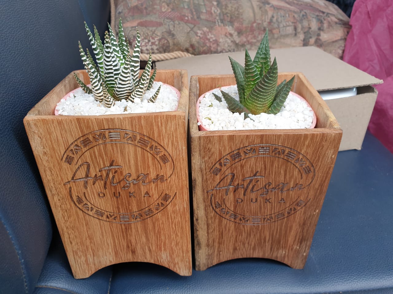 Branded Wooden Planter with Succulent