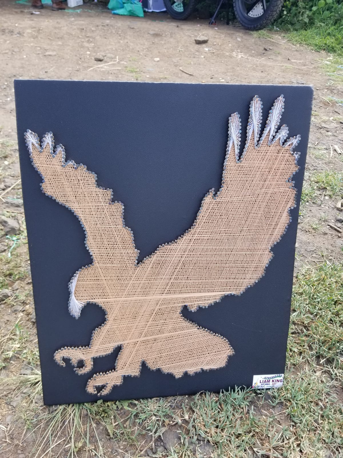 Flying Eagle String Art