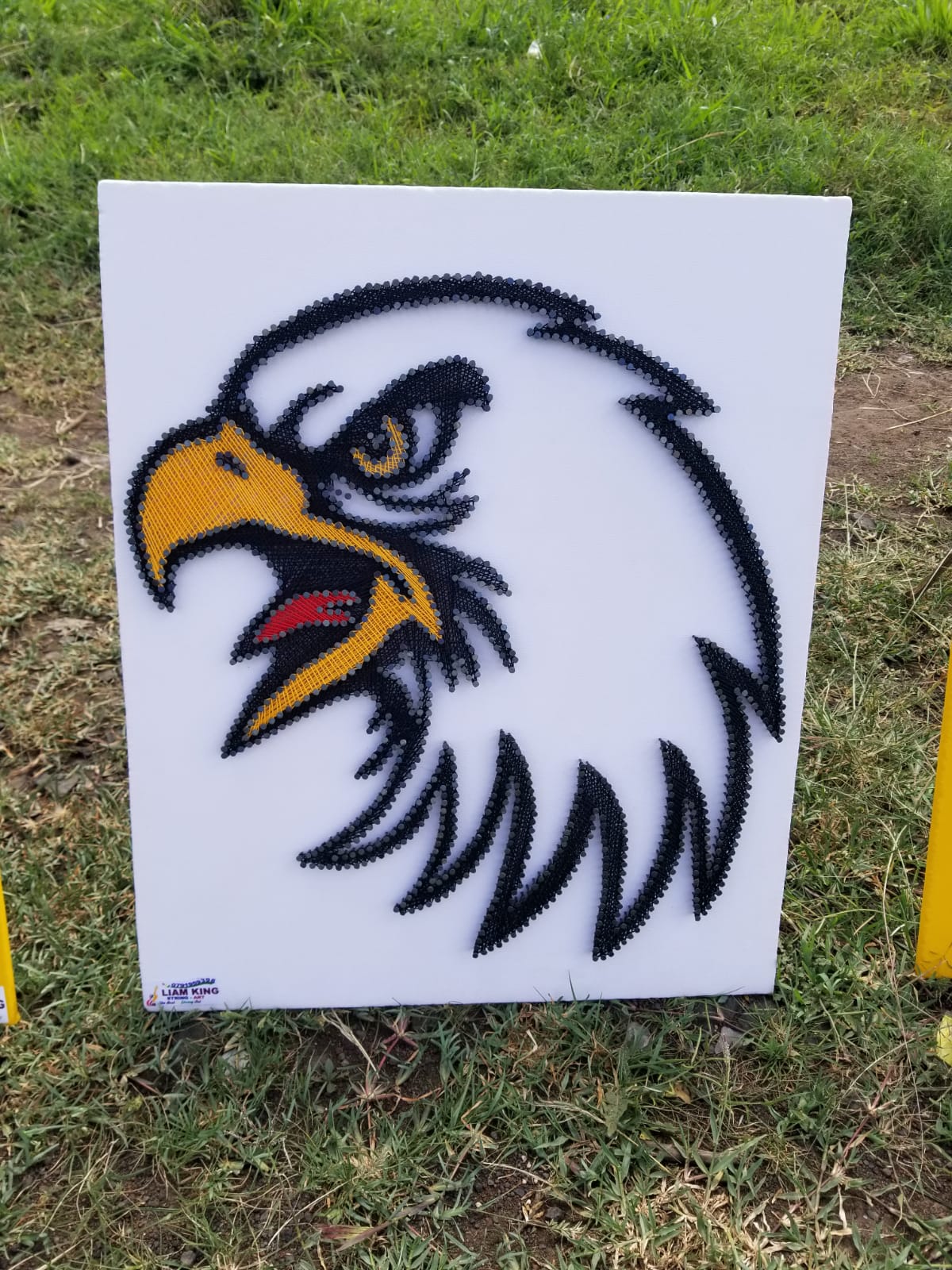 Hawk String Art