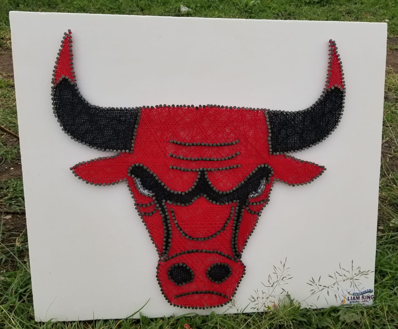 Chicago Bulls String Art