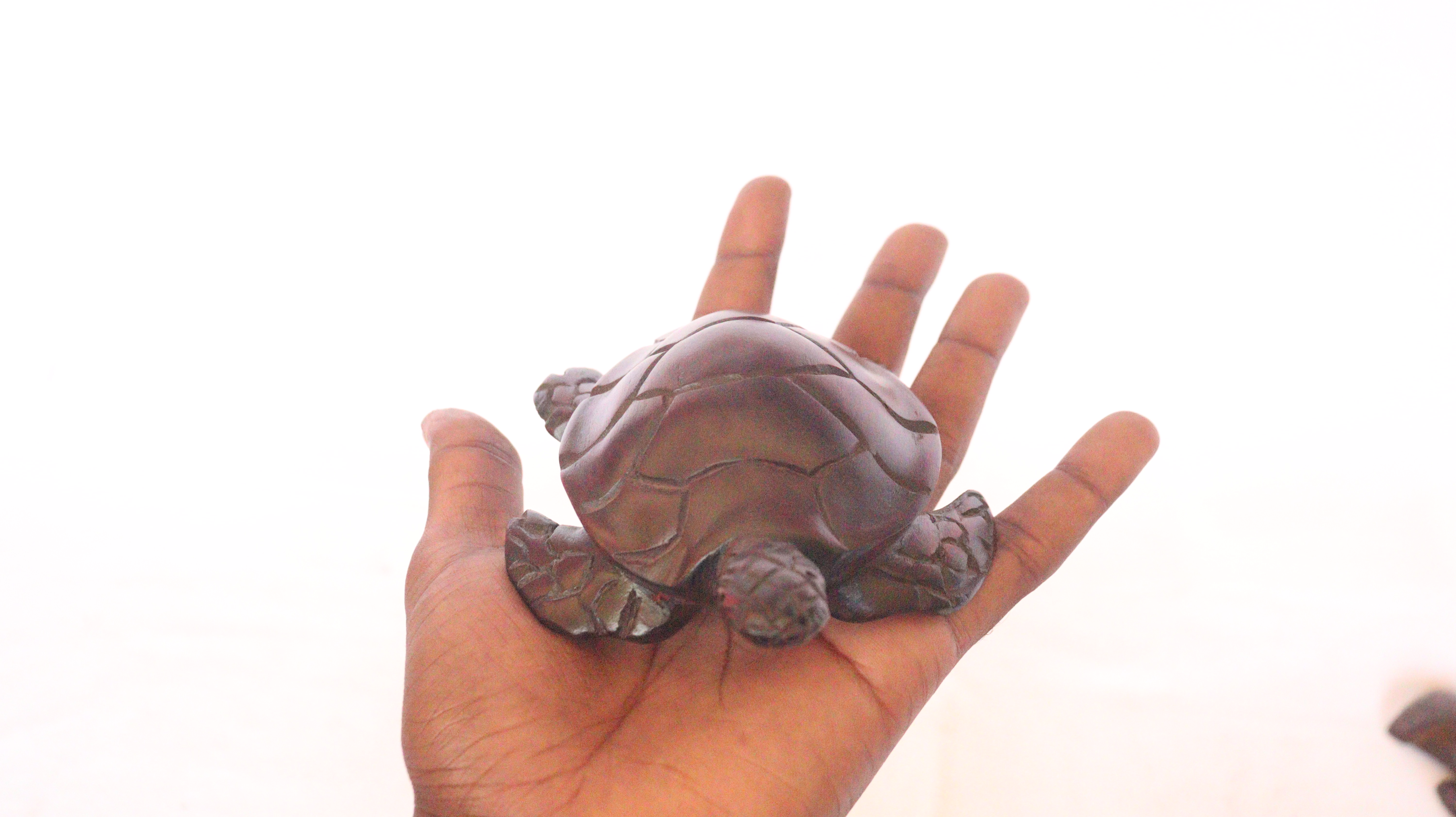 Wooden Sea Turtle, Carved Sea Turtle, Wooden Curved Sea Turtle, Antiques