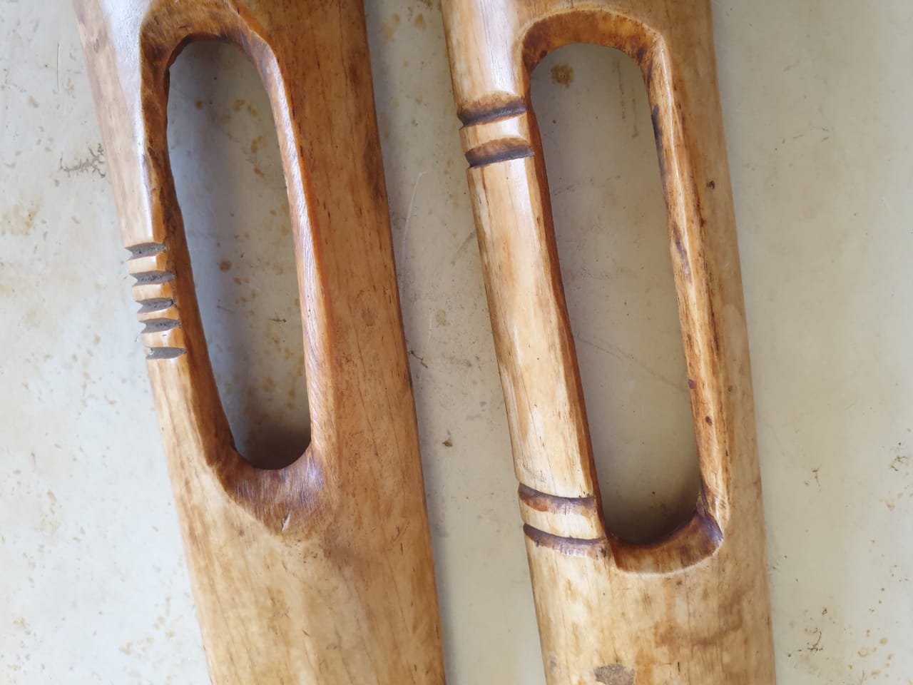 The Maasai Lion Spike