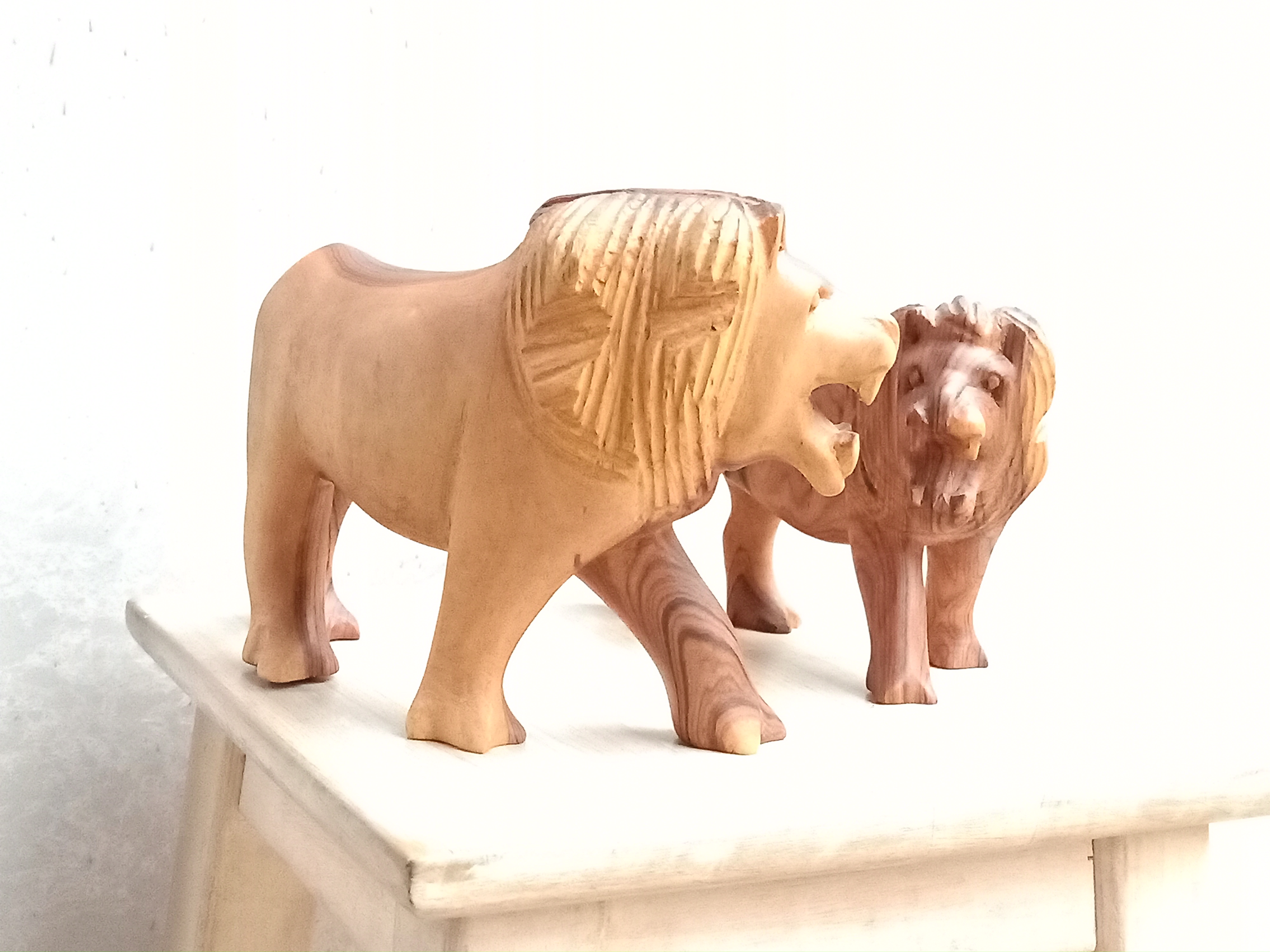 Wooden Lions Sculptures